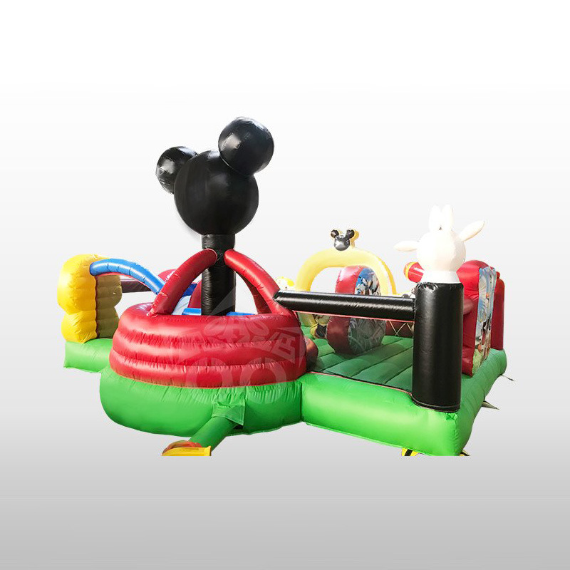 inflatable castle (76)