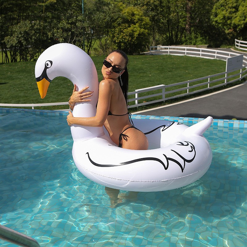 inflatable pool float (147)
